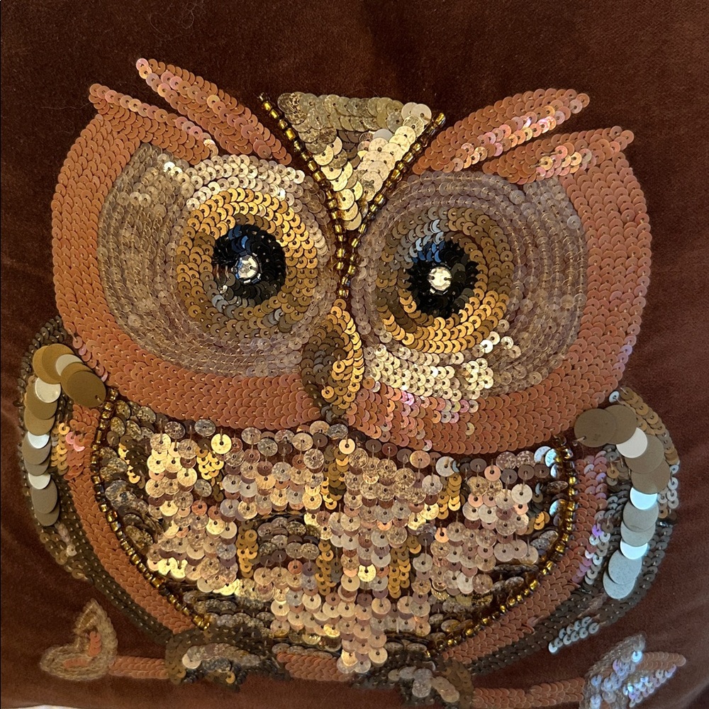 Pier 1 Imports Beaded Sequin Owl Brown Velvet Pillow 14" Square Fall Decor - Picture 11 of 13